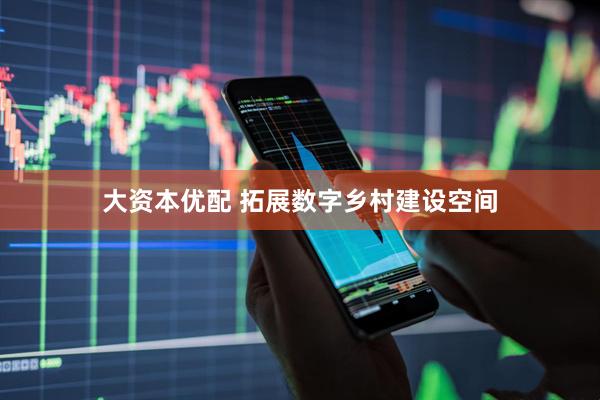 大资本优配 拓展数字乡村建设空间